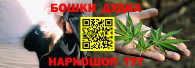 PSILOCYBIN Пушкино