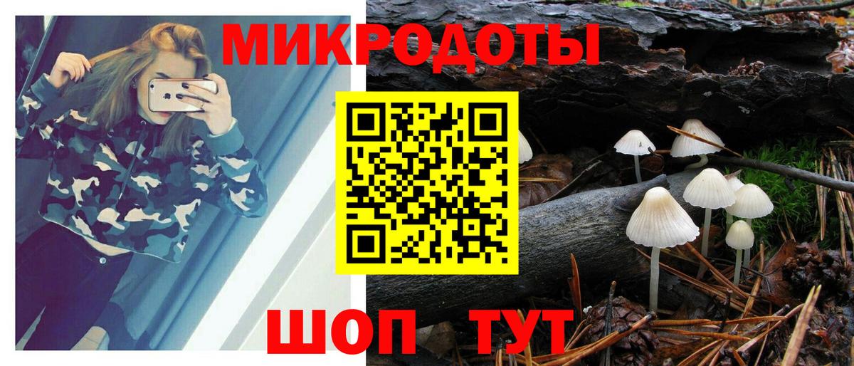 Галлюциногенные грибы Cubensis  Вход с VPN  Сердобск  Галлюциногенные грибы мицелий 